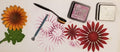 Product Photo Test